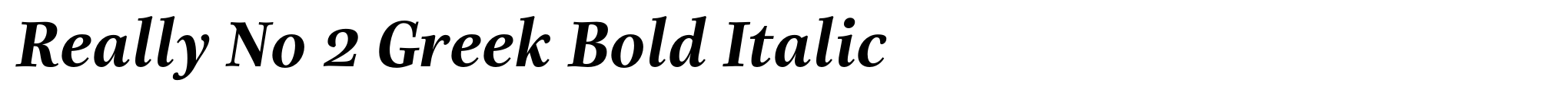 Really No 2 Greek Bold Italic image